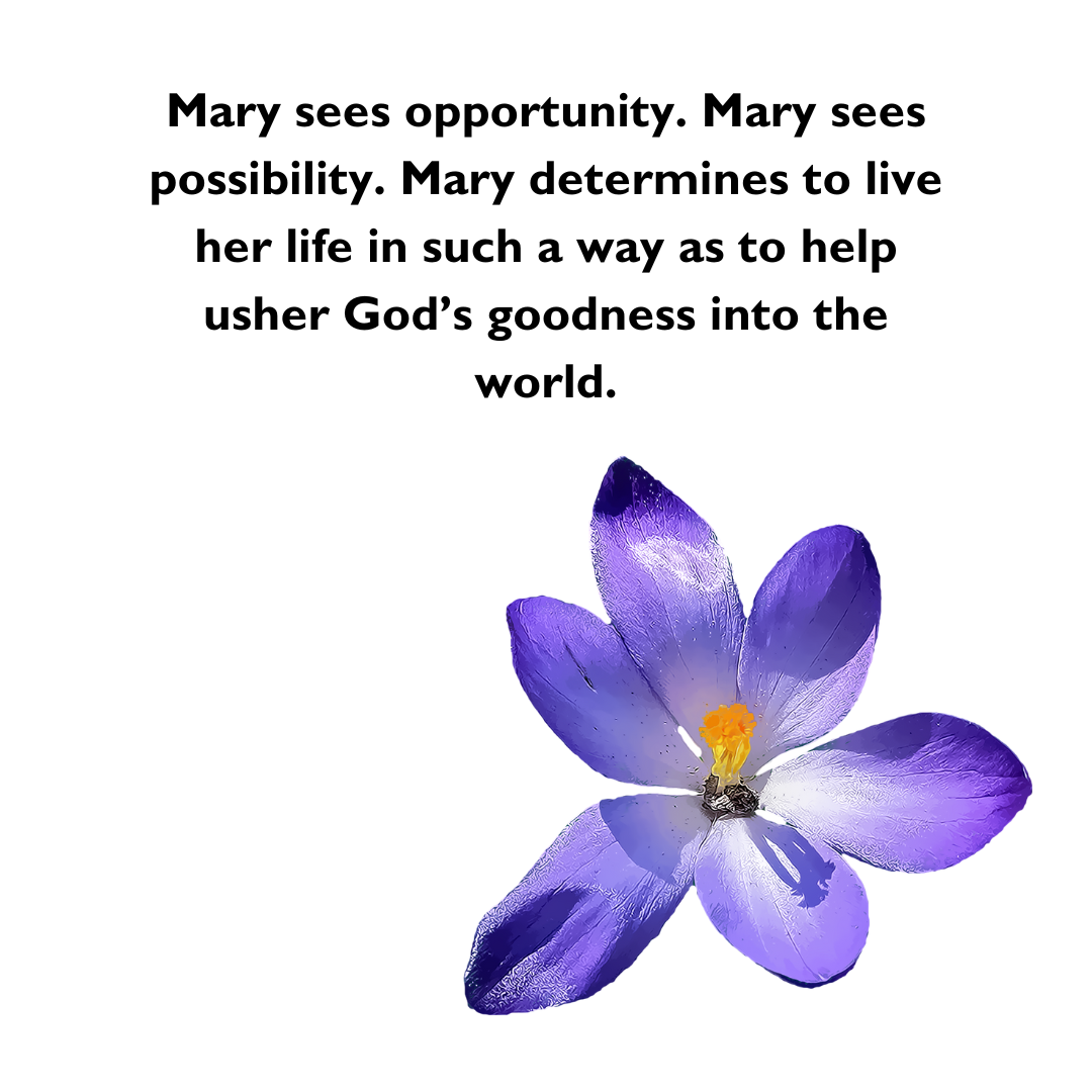 Magnificent Mary
